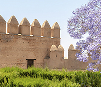 La Alcazaba de Almería preside la ciudad mirando al mar